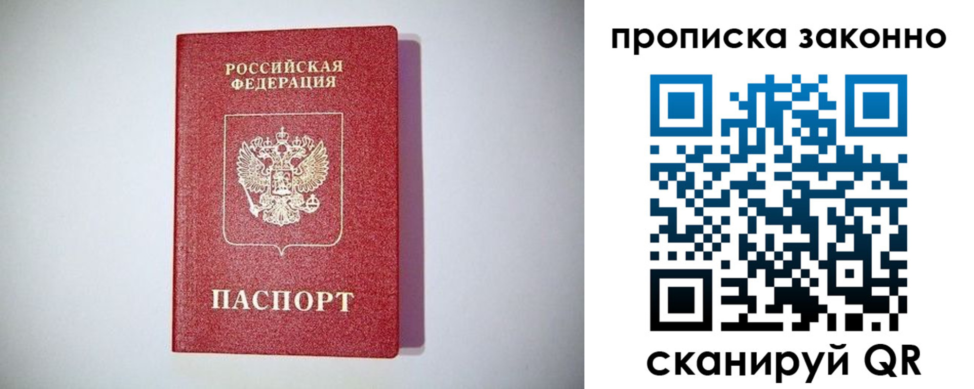 прописка для школы в Елизово